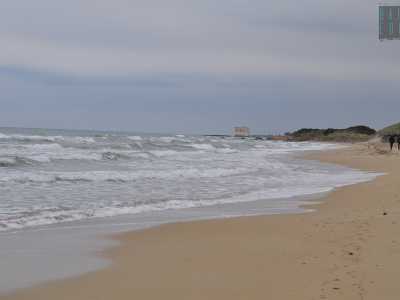 A Torre Canne, nel brindisino, le spiagge sono invece nate grazie all�azione di dune e paludi: si tratta di ecosistemi particolari